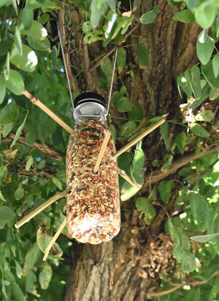 Bird Feeders 0324 (18)